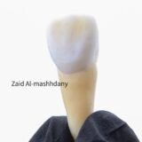 Dr.Zaid /dental training
