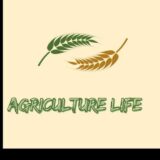 الزراعة حياة🌱🌾