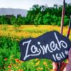 Arts : Zainab 🌼 - قناة تيليجرام
