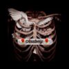 🌹 Anatomy 🌹 - قناة تيليجرام