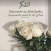 🌹🕌 Einladung zu Allah 🕌🌹