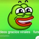 funny viral videos/ videos gracios virales