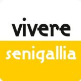 Vivere Senigallia (feed)