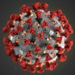 Coronavirus – Veneto - Canale Telegram