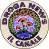 Droga News - Canale Telegram