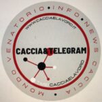 Caccia&Telegram - Canale Telegram