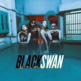 BlackSwan Brasil