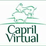 Capril Virtual