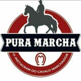 Canal PuraMarcha