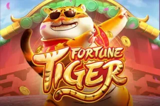 tiger fortune vip