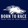 Born To Race 🐶🐶