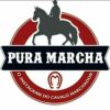 Canal PuraMarcha - Canal de Telegram