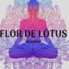 Flor de Lótus - Canal de Telegram
