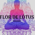 Flor de Lótus - Canal de Telegram