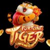 Fortune Tiger Robozinho
