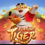 Melhor grupo gratuito do Tiger Fortune pra vocÃª ganhar dinheiro ðŸ’¸ðŸ¤‘