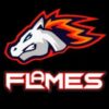 FLAMES (MINES) BOT ..