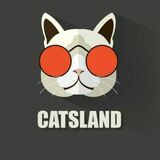 CATSLAND — коты, кошки и котята