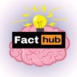 Fact Hub