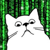 IT юмор | Кот программиста