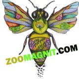 Zoomagnit.com — Shop
