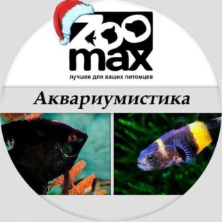 ZooMax — Аквариумистика
