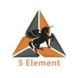 5 Element — КЛУБ ИНВЕСТОРОВ