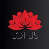 Lotus Agency — Работа за границей