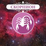 Гороскоп Скорпион | ZNAK