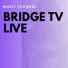 BRIDGETV.LIVE - Телеграм-канал