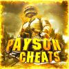 PAYSON CHEATS - Телеграм-канал