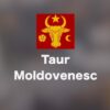 Taur Moldovenesc - Телеграм-канал