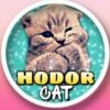 Hodor Cat
