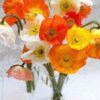 Красивые цветы - Телеграм-канал