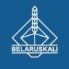Беларуськалий официальный канал - Телеграм-канал
