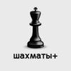 Шахматы + - Телеграм-канал