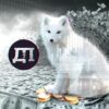 Деньги и песец - Телеграм-канал