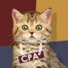 Дайджест CPA - Телеграм-канал