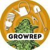 Grow reports - Телеграм-канал