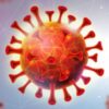 CovidTurk Pandemi Verileri 🦠 - Telegram Kanalı