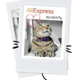 Aliexpress cats