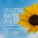 Quotes Facts Jokes 📝