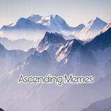Ascending Memes