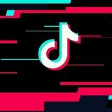 TikTok Videos
