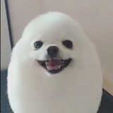 Alt Skull’s Charnel House