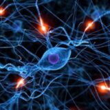 Neurology collections 2020