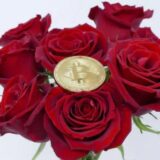 🌹Rose Premium Signals 🌹