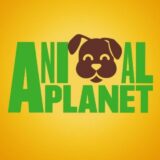 Animal planet