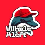 Whale Alerts 🐳