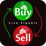 FOREX SIGNALS DAILY BUY/SELL LIVE